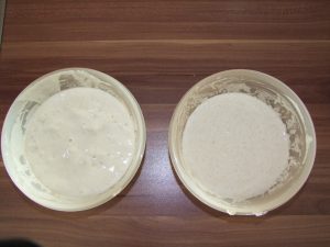 fertig angerührter Vorteig - Sauerteig
