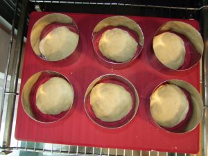 Der fertige Teigrohling im Burger Ring