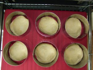 Der fertige Teigrohling im Burger Ring nach 20 Minuten Gehzeit